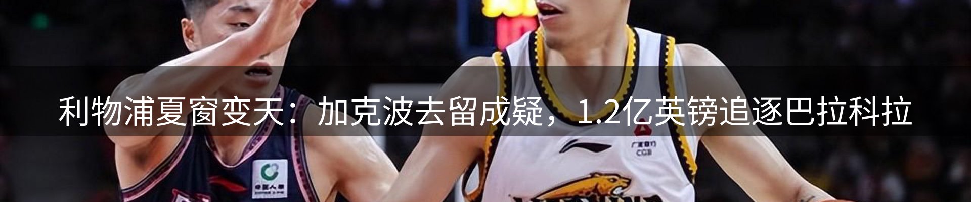 平台精选